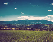 泡泡短信压力测试官网